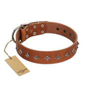 "Broadway" Handmade FDT Artisan Tan Leather Collie Collar with Dotted Pyramids