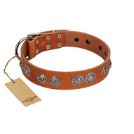 "Woofy Majesty" FDT Artisan Tan Leather Collie Collar with Round Silver-like Plates