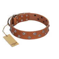 "Waltz of the Flowers" Handmade FDT Artisan Tan Leather Collie Collar with Chrome-plated Engraved Studs