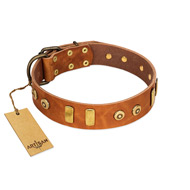 "Egyptian Script" FDT Artisan Tan Leather Collie Collar with Plates and Small Studs