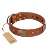 "Great Obelisk" Handcrafted FDT Artisan Tan Leather Collie Collar with Large Plates and Pyramids