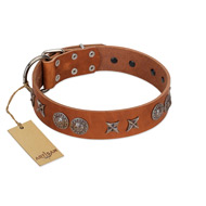 "Splendid Armor" Premium Quality FDT Artisan Tan Designer Collie Collar with Shields and Stars