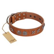 "Brave Spirit" Handmade FDT Artisan Designer Tan Leather Collie Collar with Shields