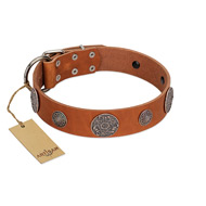 "Foxy Nature" FDT Artisan Tan Leather Collie Collar with Chrome Plated Brooches