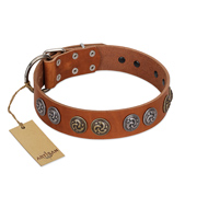 "Luxurious Life" Premium Quality FDT Artisan Tan Leather Collie Collar with Round Adornments