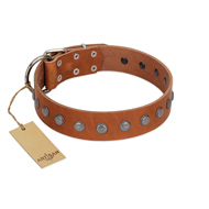 "Little Floret" Fashionable FDT Artisan Tan Leather Collie Collar with Silver-Like Adornments