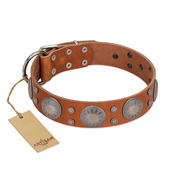 "Far Star" FDT Artisan Tan Leather Collie Collar with Engraved Studs