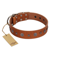 "Sweet Caramel" Designer FDT Artisan Tan Leather Collie Collar