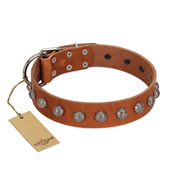 "Heroic Deeds" Designer Handmade FDT Artisan Tan Leather Collie Collar