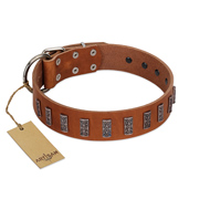 "Silver Century" Fashionable FDT Artisan Tan Leather Collie Collar with Silver-Like Plates