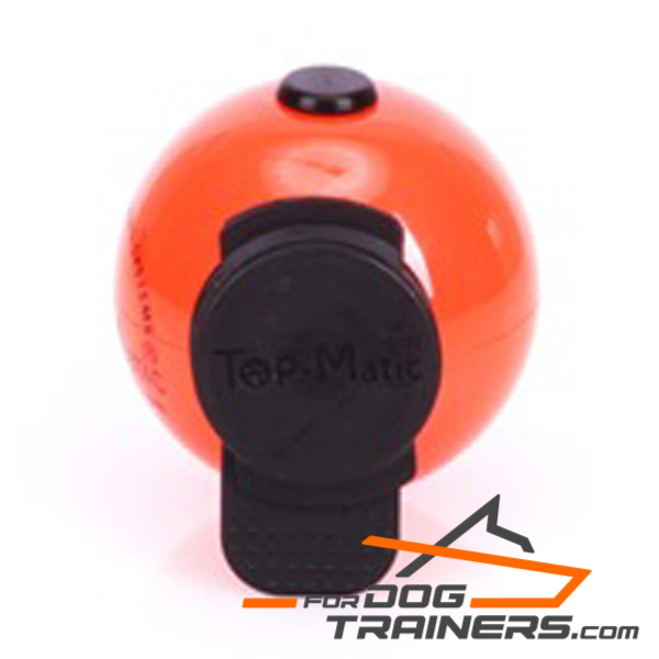 Dog ball rubber with magnets for training