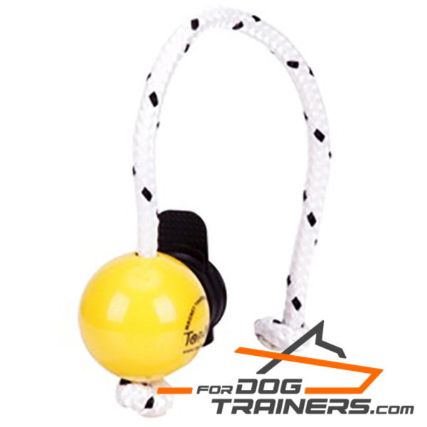 Yellow rubber dog ball for training