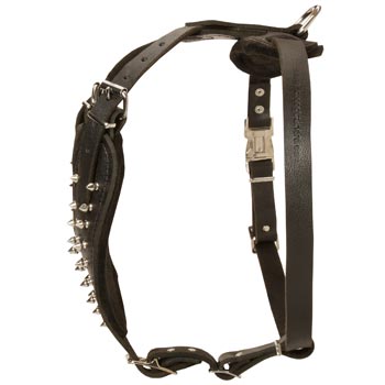 Adjustable Leather Harness for Collie