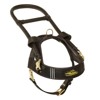 Collie Leather Guide Harness with ID Patches