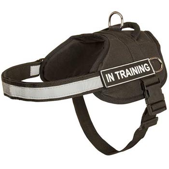 Nylon Collie Harness Multifunctional All-Weather Practical