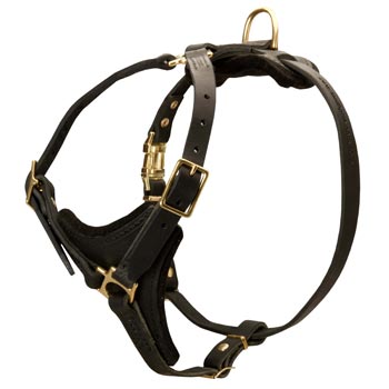 Collie Harness Black Leather with Padded Chest Plate for Training