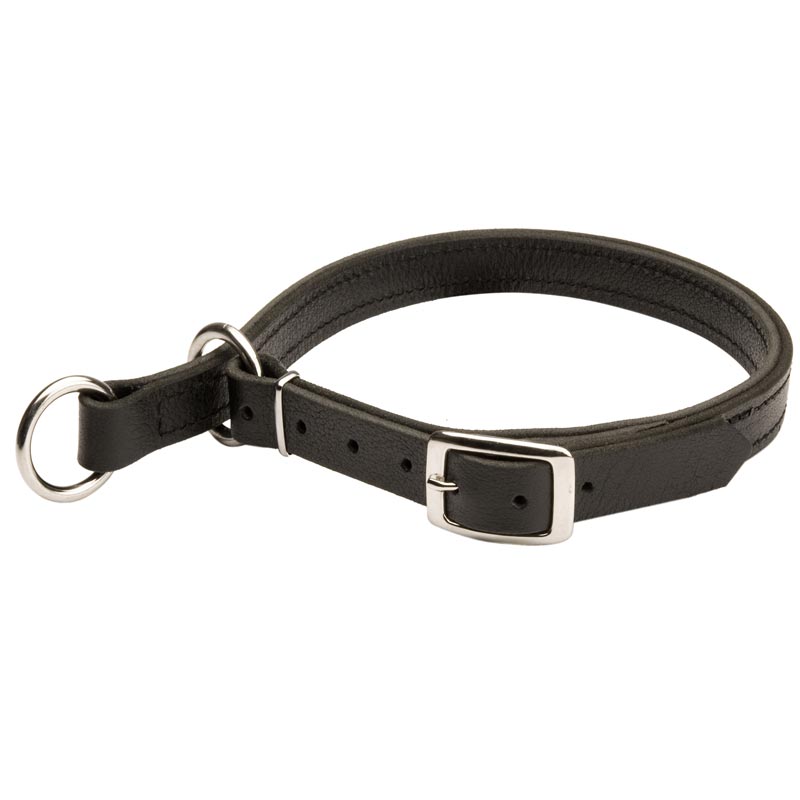 Collie Leather Choke Collar