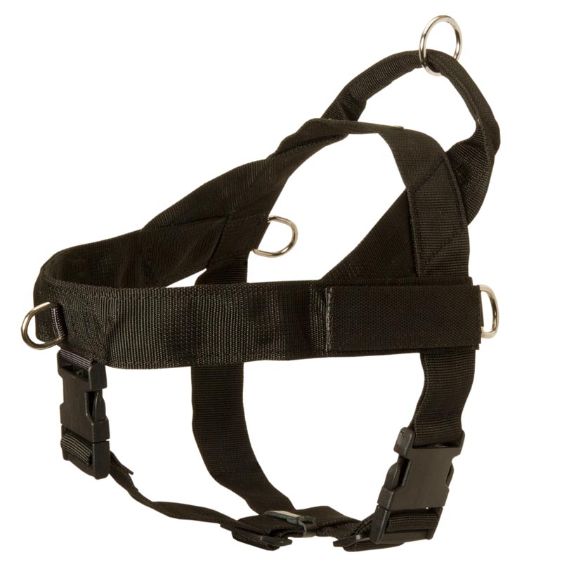 Collie Harness Nylon with Patches for Training and Walking