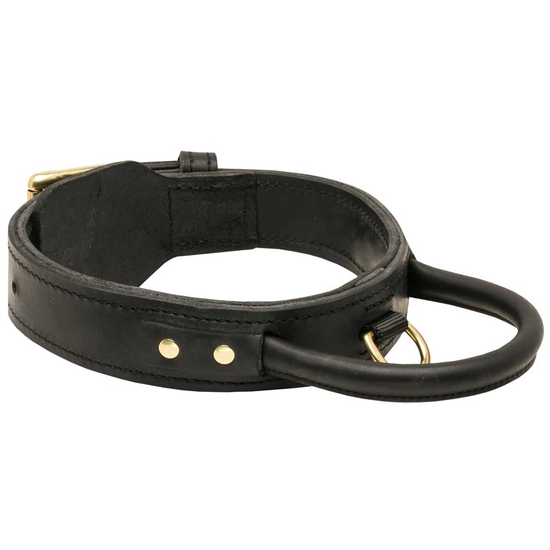 Extra Durable Leather Collie Collar with Handle for Attack Training