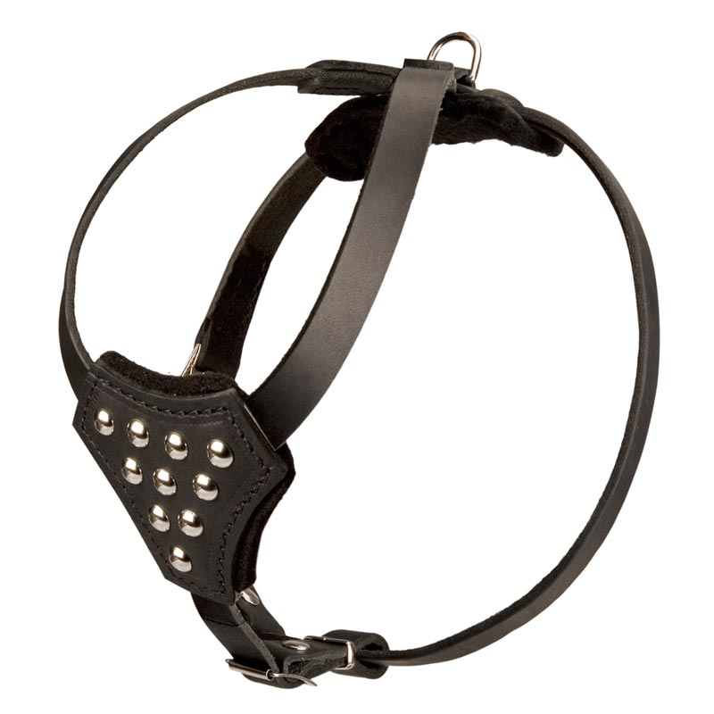 Designer Leather Collie Harness with Adjustable Straps for Puppy Walking and Training