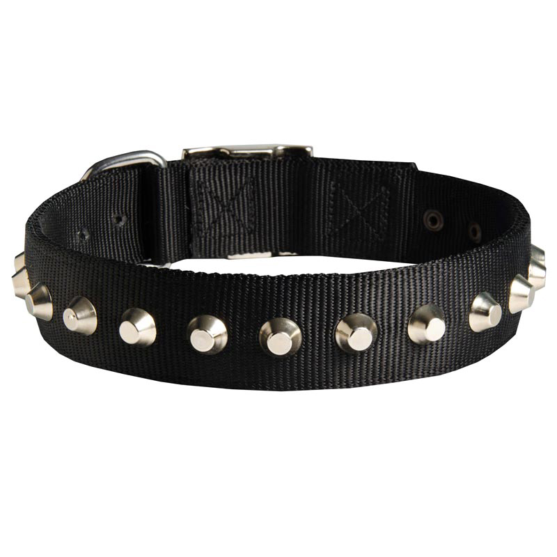 Exclusive Nylon Collie Collar with Awesome Nickel Cones
