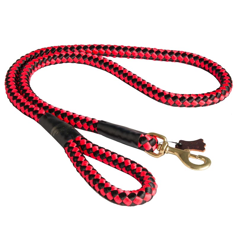 All Weather Nylon Cord Collie Leash for Walking and Training