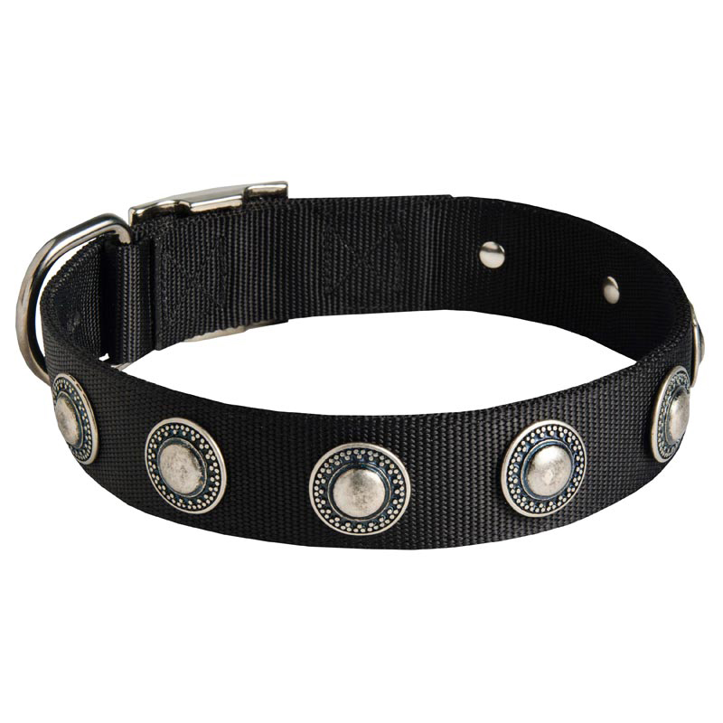 Collie Nylon Dog Collar with Circles Decoration