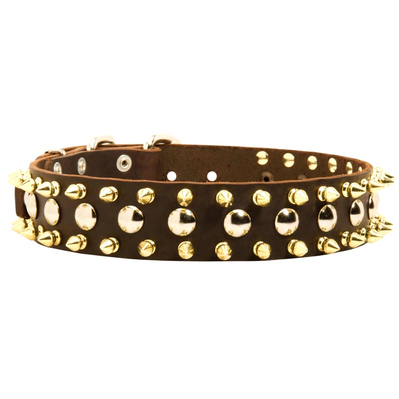 Spiked and Studded Collie Leather Collar