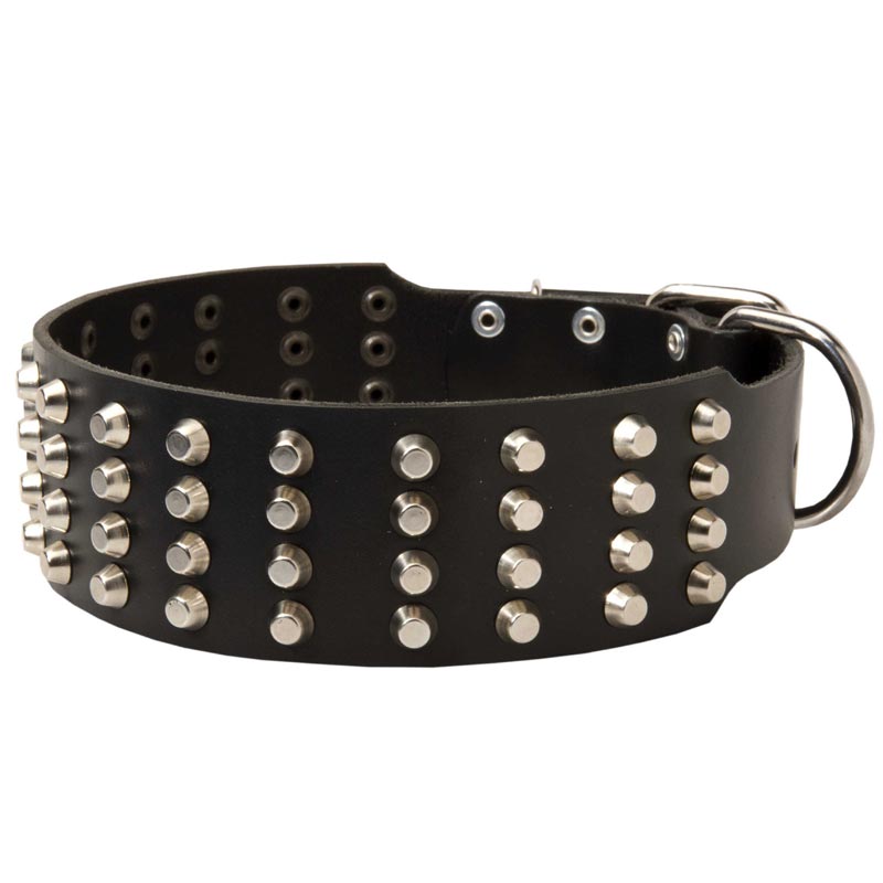 Extra Wide Studded Leather Collie Collar