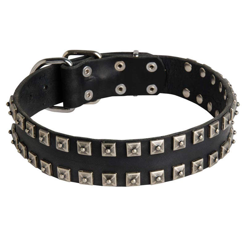 "Caterpillar" Design Leather Collie Collar with Studs