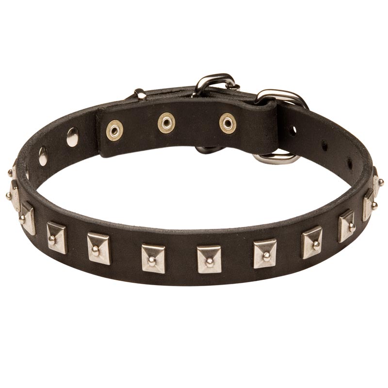 Collie Leather Collar Caterpillar Design - Click Image to Close
