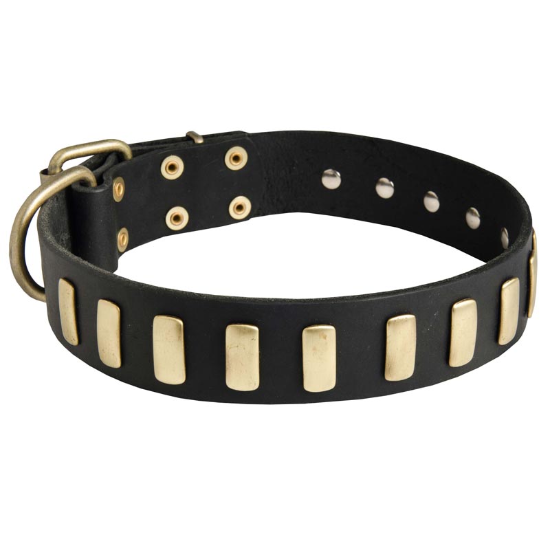 Fancy Leather Collie Collar with Brass Plates - Click Image to Close