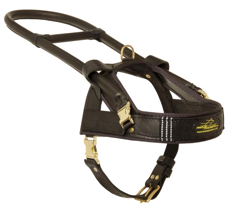 Guide and Assistance Leather Collie Harness
