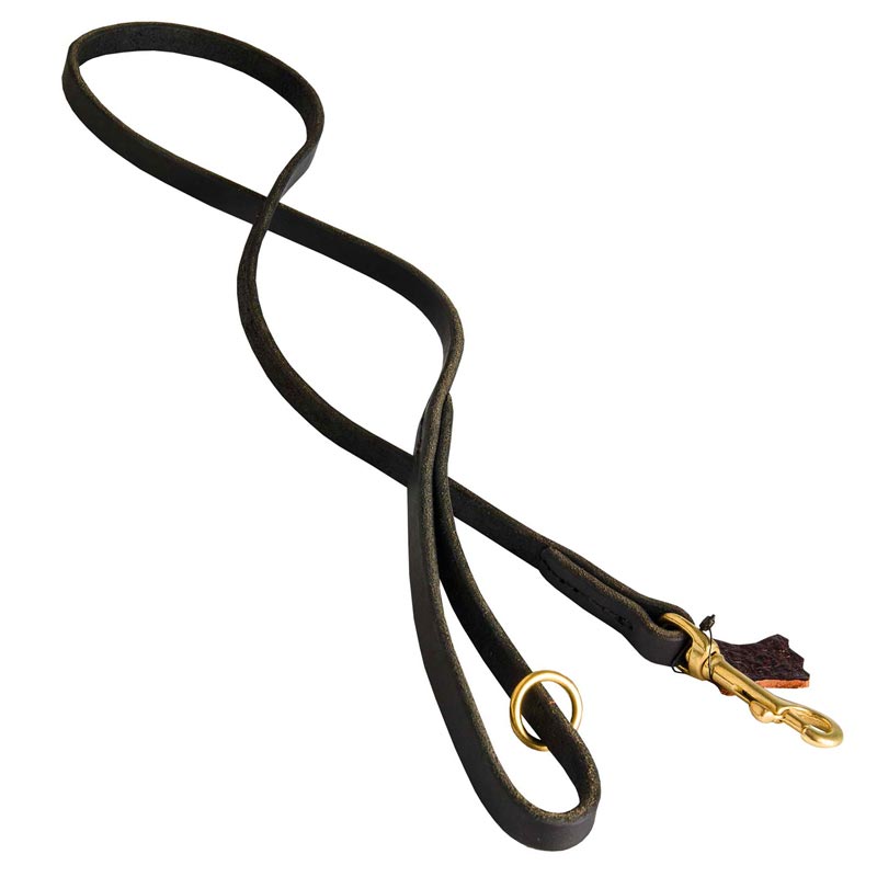 Handcrafted Leather Collie Leash for Walking and Tracking