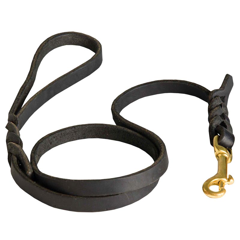 Handcrafted Braided Leather Collie Leash for Walking and Training - Click Image to Close