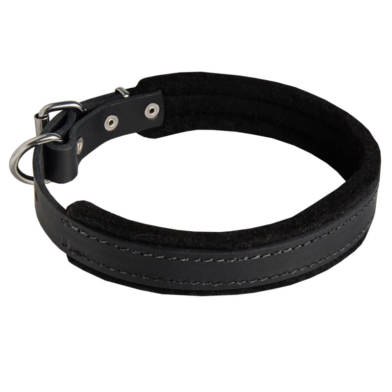 Soft Padded Leather Collie Collar for Dog Training - Click Image to Close