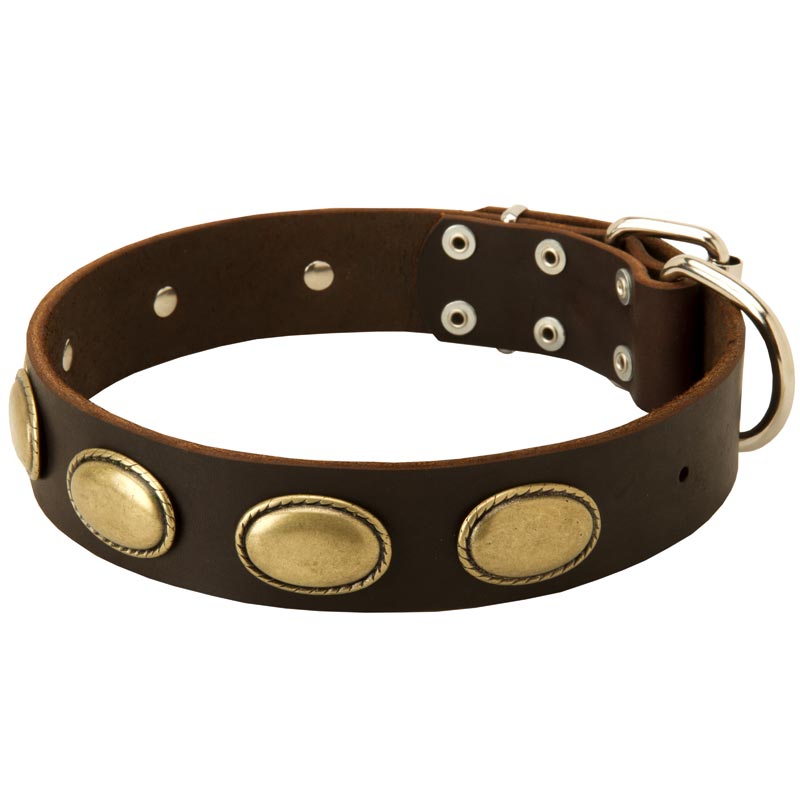 Designer Leather Collie Collar with Oval Plates - Click Image to Close