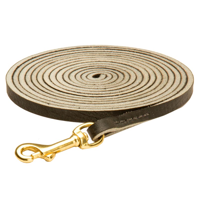 Long Leather Collie Leash for Tracking, Training and Walking - Click Image to Close