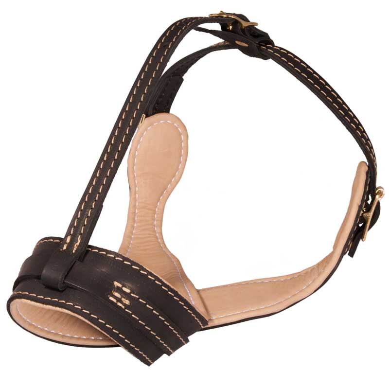 Royal Anti-Barking Leather Collie Muzzle with Nappa Leather Lining