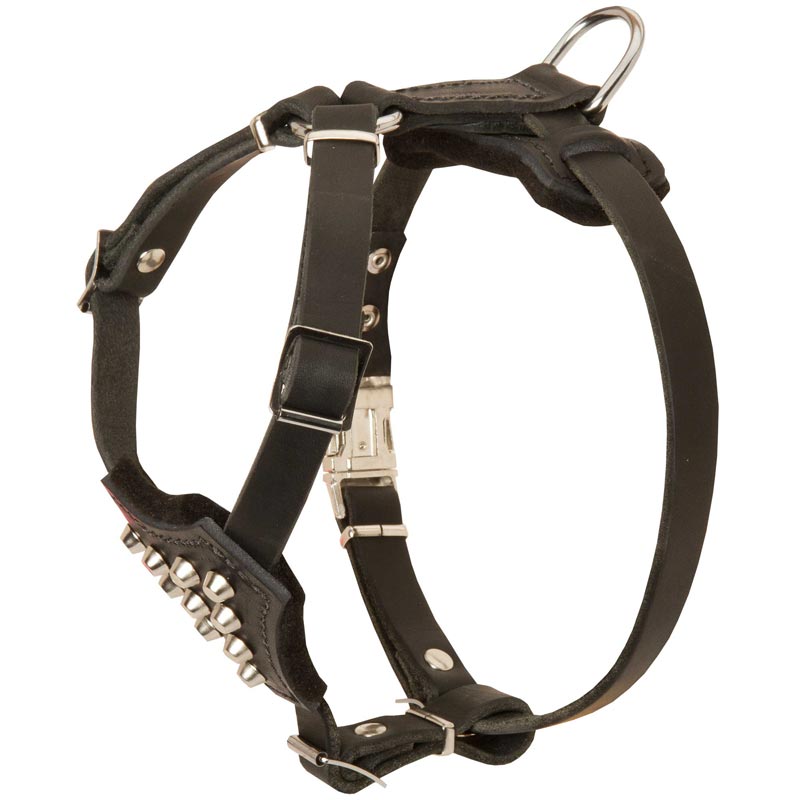 Studded Leather Collie Puppy Harness