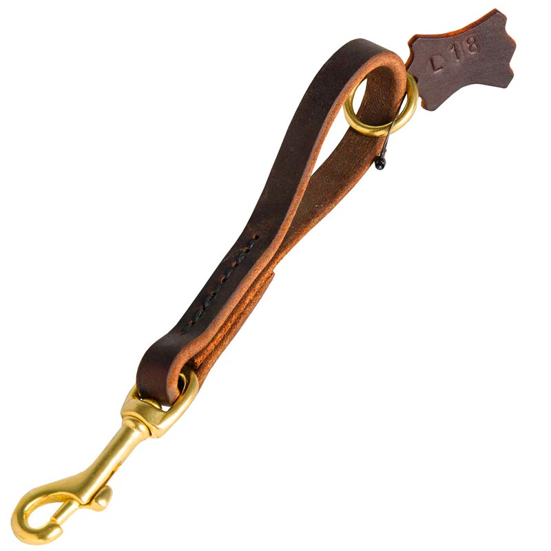 Easy Quick Grab Pull Tab Leather Collie Leash
