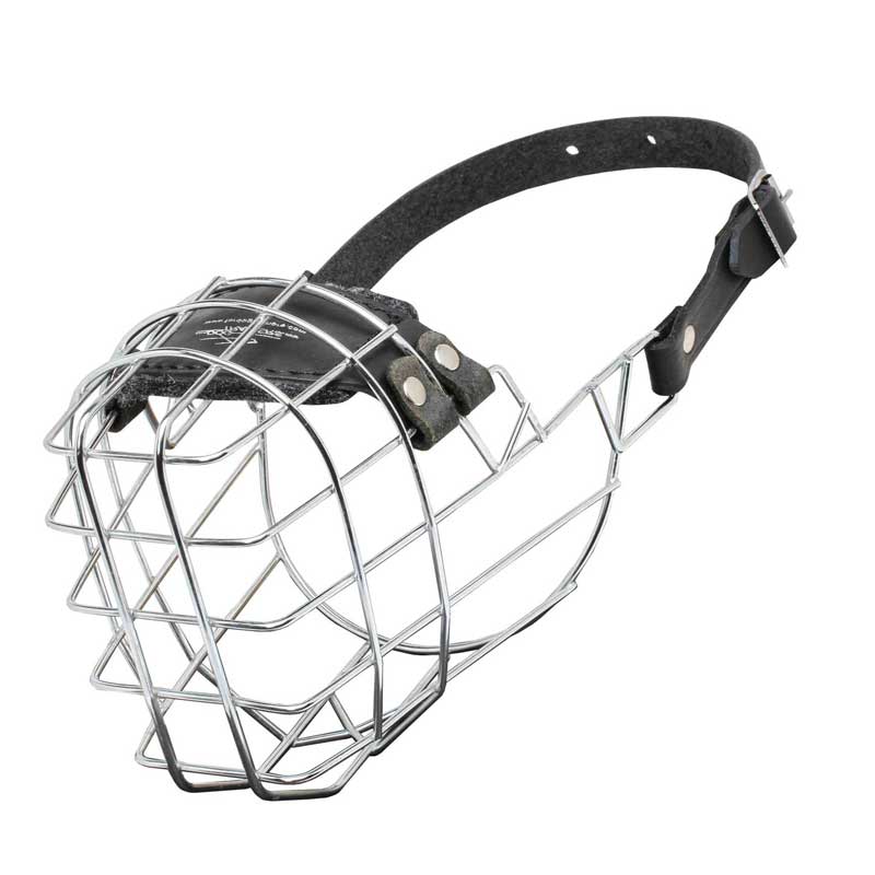 'The Silencer' Wire Cage Collie Muzzle With One Strap