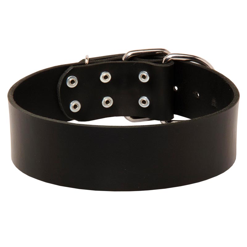 Extra Wide Leather Collie Collar for Professional Training