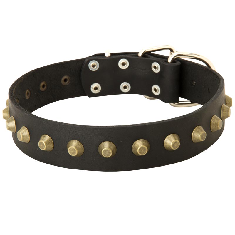 Leather Collie Collar with Brass Pyramids - Click Image to Close