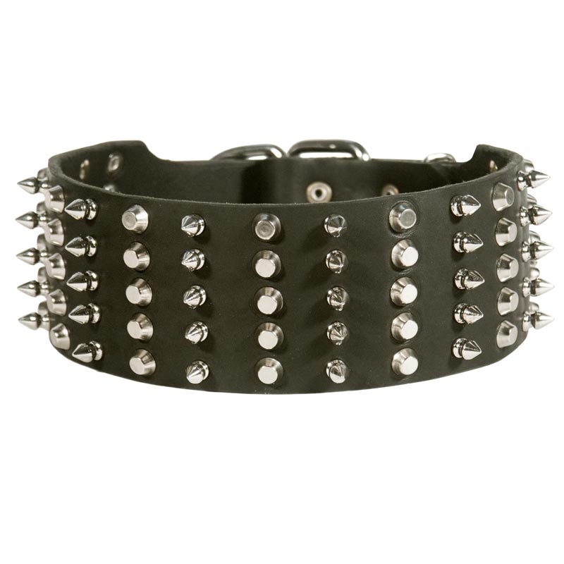 Collie Leather Collar Spiked and Studded