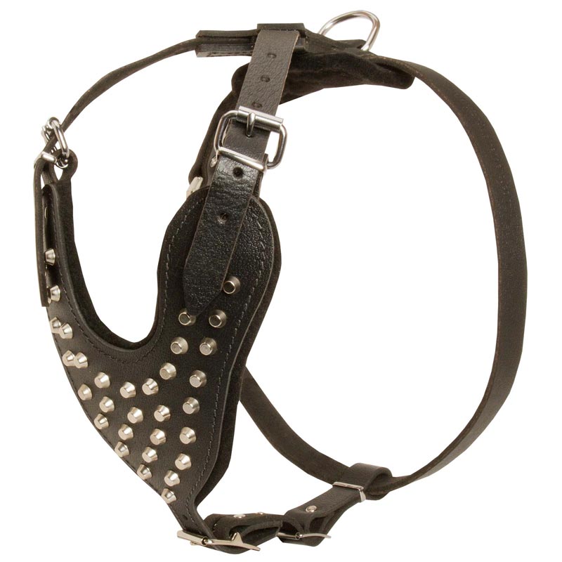 Adjustable Leather Collie Harness Studded for Fashion Walking