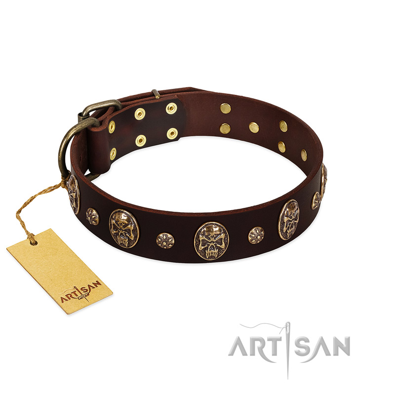"Breaking the Horizon" FDT Artisan Brown Leather Collie Collar with Engraved Studs and Medallions