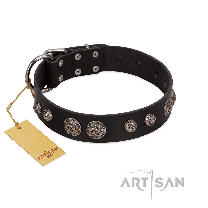 "Tricky Ricky" FDT Artisan Black Leather Collie Collar Adorned with Silver-Like Conchos