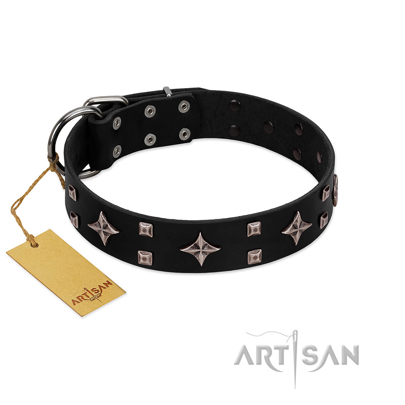 "Snappy Dresser" FDT Artisan Black Leather Collie Collar Adorned with Stars and Tiny Squares