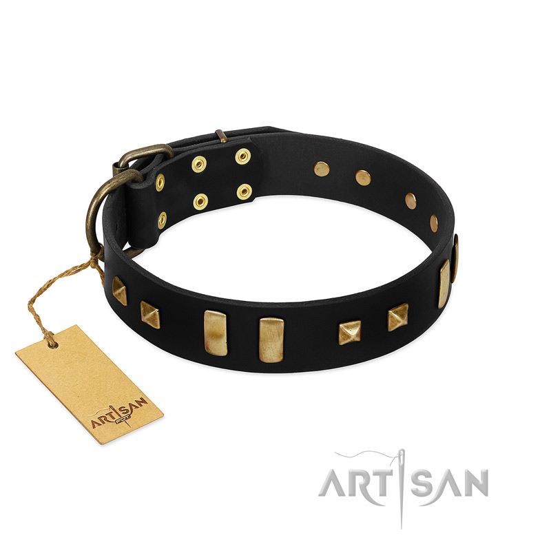 "Fit for Royalty" FDT Artisan Black Leather Collie Collar with Plates and Small Square Studs
